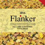 Flanker Press Ltd Fall 2016 catalog 