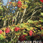 Flanker Press Ltd Fall 2013 catalog 