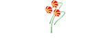 Gov of NL Logo