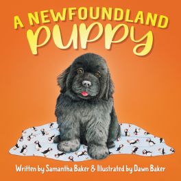 Cover of: A Newfoundland Puppy